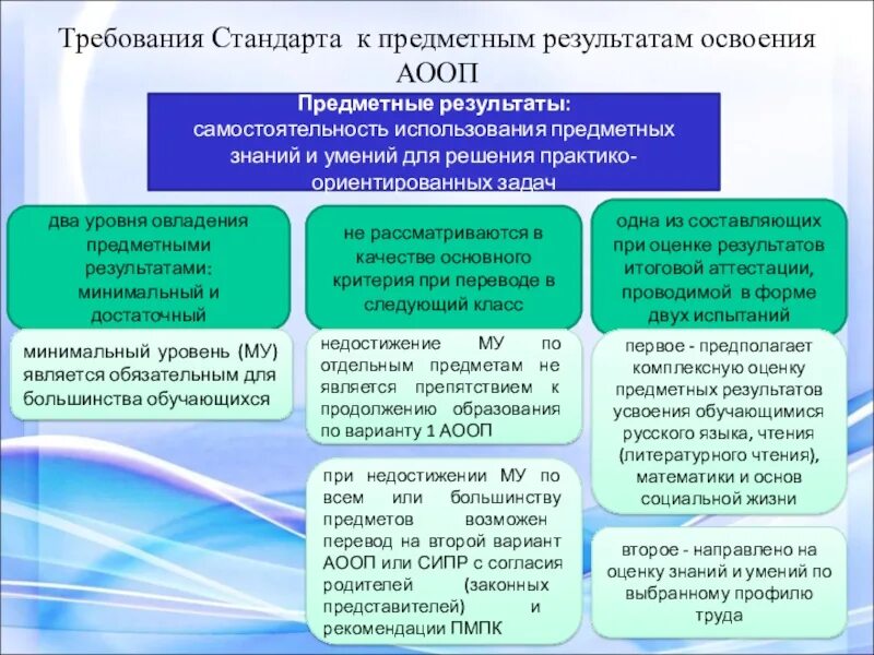 Результаты освоения обучающимися государственных образовательных стандартов. Уровни овладения предметными результатами. АООП требования к результатам освоения. Требования стандарта к предметным результатам. Достаточный и минимальный уровень АООП\.