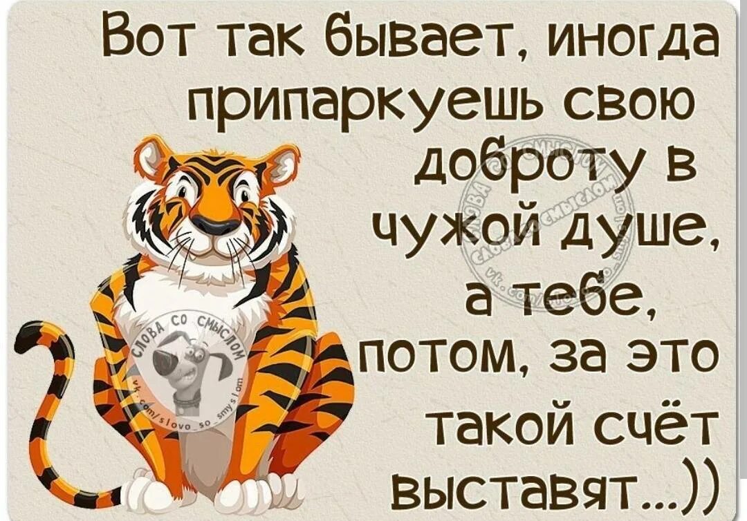 Бесплатные статусы прикольные. Смешные цитаты. Прикольные высказывания в картинках со смыслом. Цитаты с юмором и смыслом. Фразы со смыслом смешные.