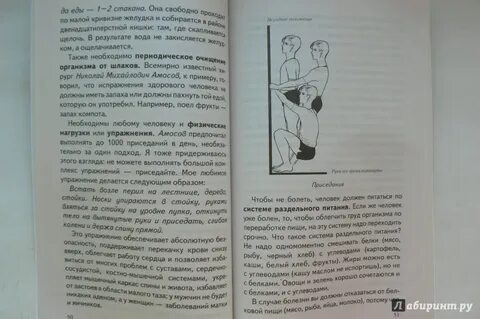 Неумывакин пищевая
