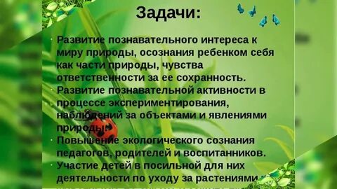 Практическая работа по экологии