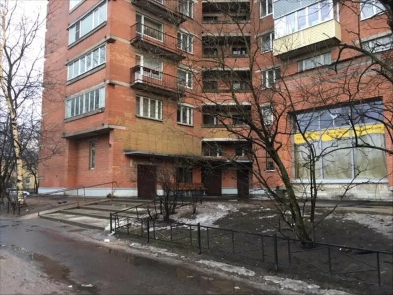 Дибуновская улица 37. Дибуновская 48. Дибуновская 26. Дибуновская 37. Дибуновская д.