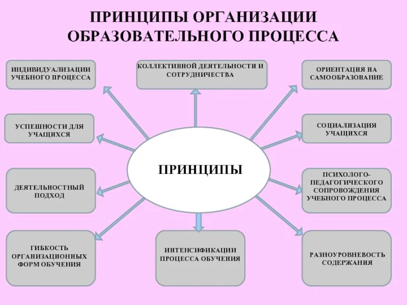 Организация индивидуализации обучения. Индивидуализация образовательного процесса. Принципы образовательного процесса. Организация учебного процесса. Принцип индивидуализации.