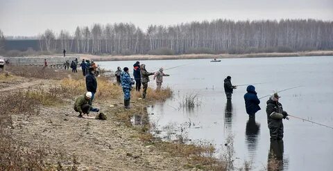 Добринка рыбалка