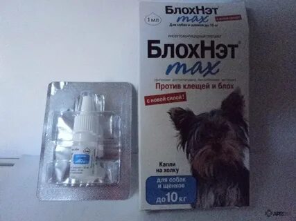 Блох нет