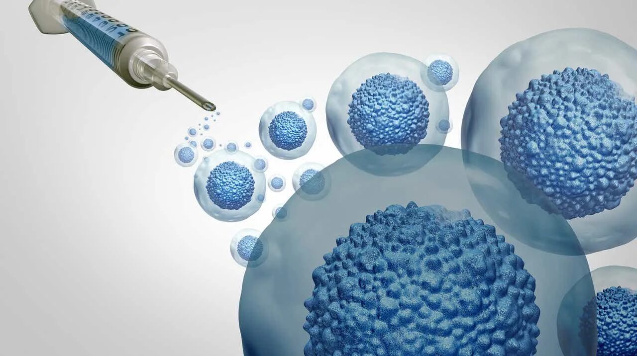 Autologous cell