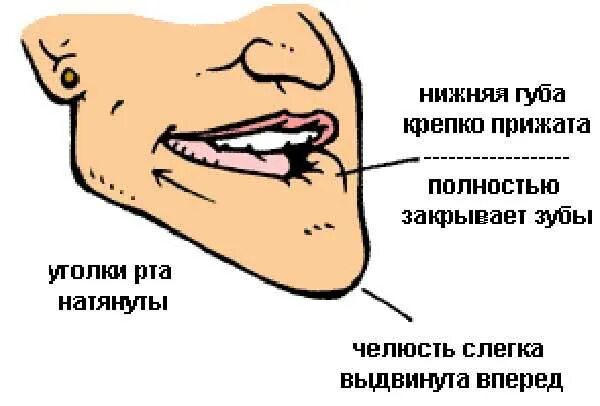 Как научиться издавать звуки. Как правильно научиться свистеть без пальцев громко. как свистеть без пальцев громко схема. как научиться свистеть громко. как научиться свистеть без пальцев.