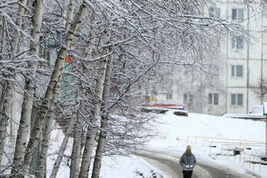 И снова выпадет снег. Снег в Амурской области. В Тындинском районе выпал снег. Весенний новый год в Приамурье. В Благовещенске выпал снег.