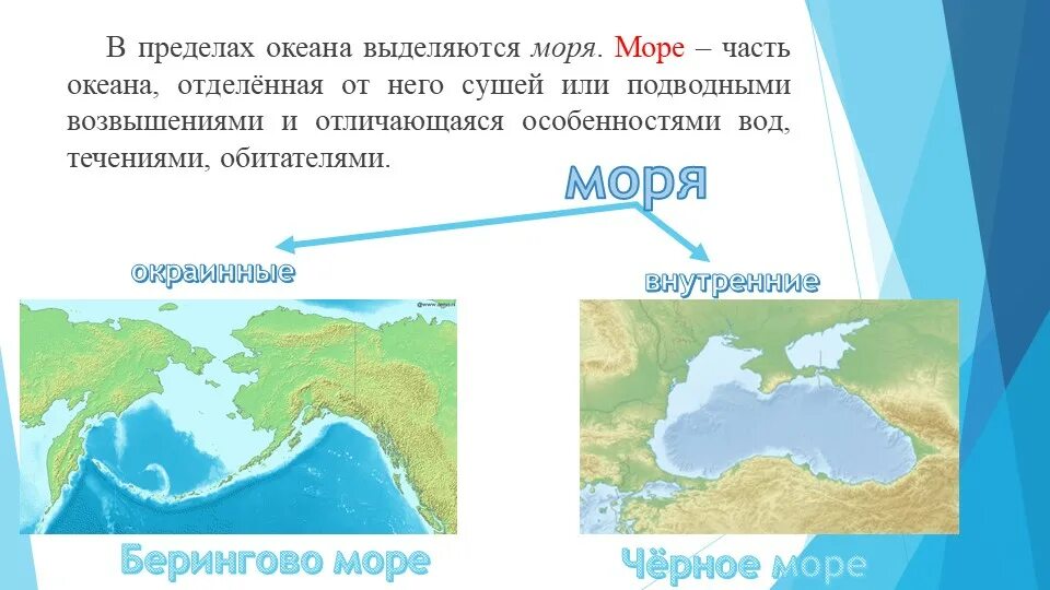 В океанах выделяют:. В пределах океанов выделяют. Моря выделены. Соленость Охотского моря. В бассейне какого океана находится