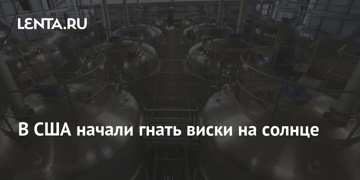 Начал гнать. Начал гнать