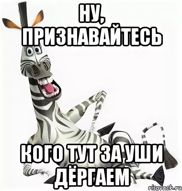 Ну признай. У кого сегодня день рождения. У каго сегодня ден раждения. Привет именинник. Дергать именинника за уши.