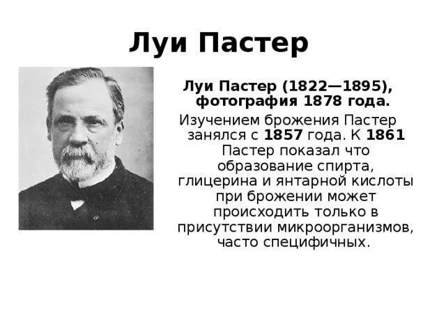 Луи пастер микробиолог и иммунолог разработавший. Луи пастер биологи. луи пастер 1862. луи пастер микробиолог. луи пастер 1857 год.