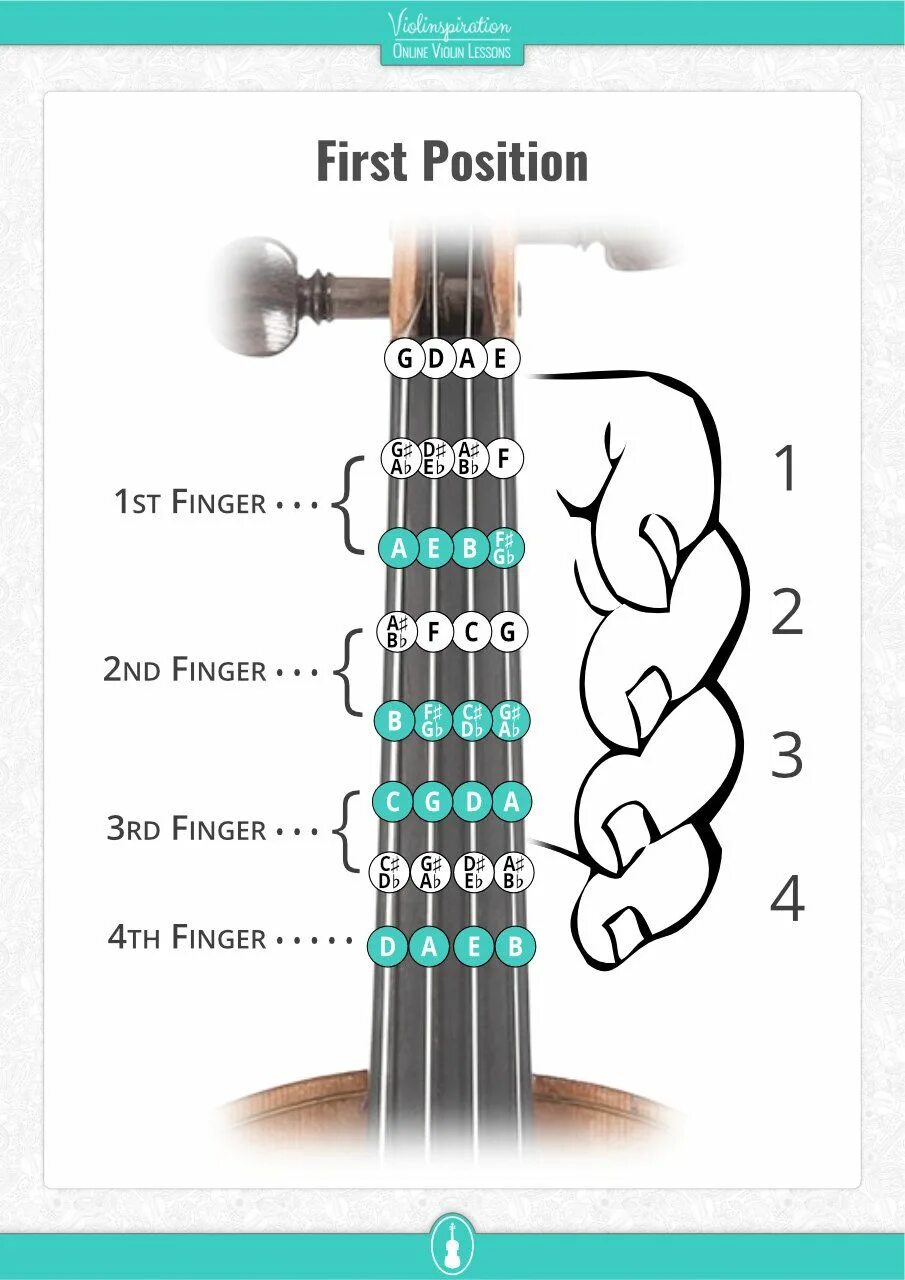 Violin position. Ноты на грифе скрипки. Violin fingering Chart. Violin диаграмма. First position