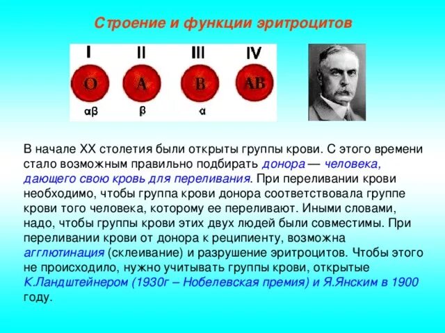 Группа крови история. 1901- Ландштейнер открыл группы крови, начало переливания крови кратко. Открытие групп крови человека. Открытие групп крови и переливания. Группы крови открытие 20 века.