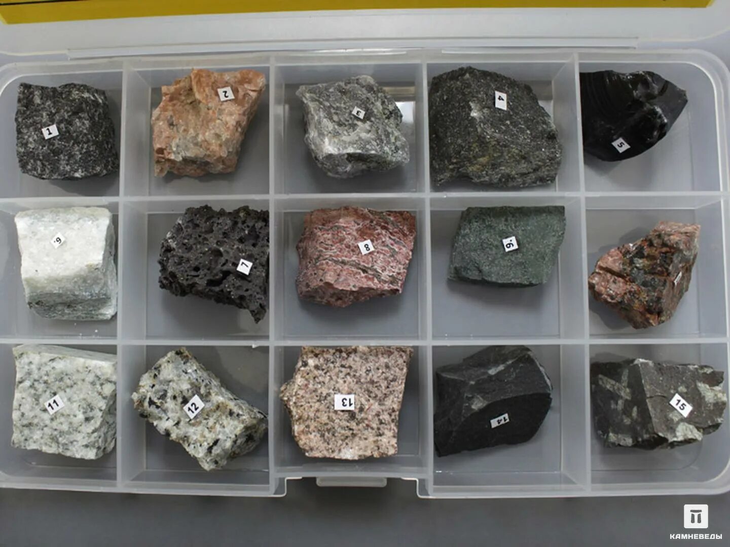 Породы состоящие из нескольких минералов. Коллекция магматических пород. Коллекция горных пород. Коллекция минералов и горных пород. Породообразующие минералы гранита.