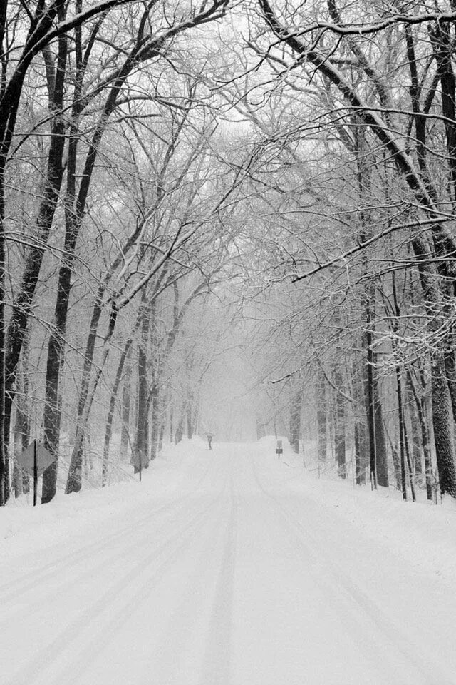 Here snow. Дорожный указатель зимой. Зима река. Великой снежной бури в северной дакоте, 1966 год. It is snowy.