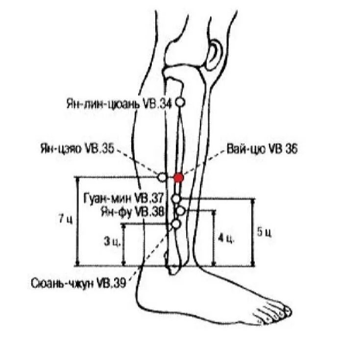 Vb 39 точка акупунктуры. Точка Сань Инь Цзяо (6 Rp). Сюань Чжун точка.