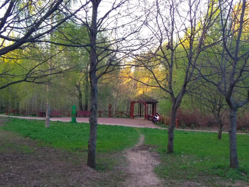 Парк Раменки. Парк 50-летия октября Москва. Парк в Раменках Москва. Парк 50 летия октября в Москве Раменки. Парк 50 летия октября фото