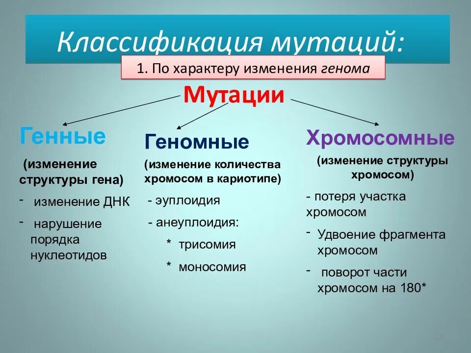 Относит изменение. Характеристика генной, хромосомной, геномной изменчивости.. Схема классификации мутаций хромосомные геномные. Генные геномные хромосомные мутации таблица примеры. Классификация хромосомных мутаций таблица.