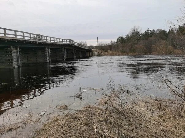 Уровень воды в реках коми на сегодня. Река Колпь Вологодская область. Паводок Бабаевский. Рыбы реки Колпь. ГТС на реке Колпь.