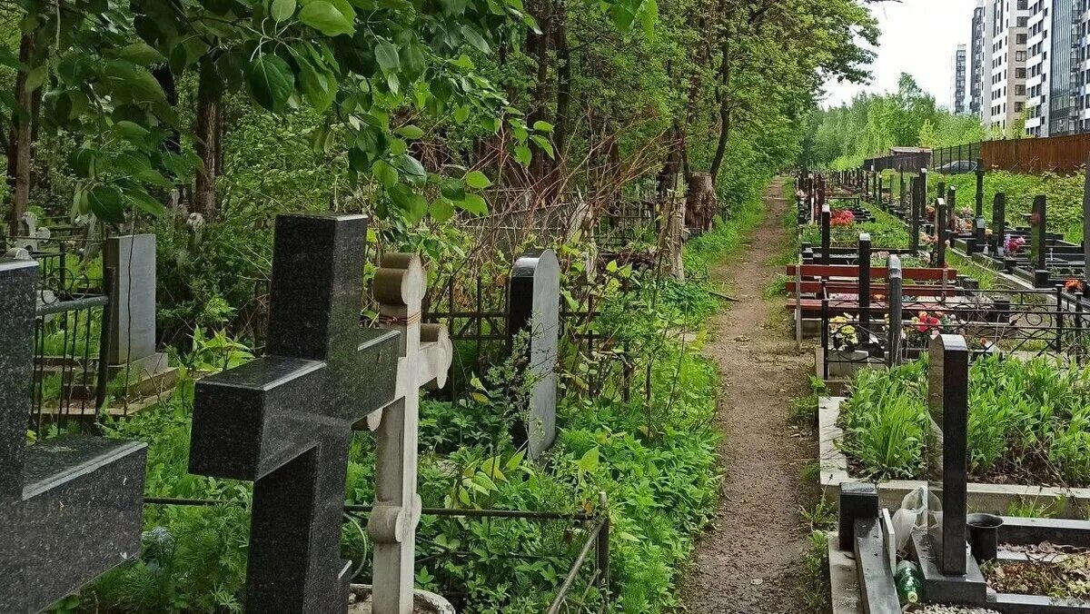 Вид из окна на кладбище. Фото пантелеевой на кладбище. Фото пантелеевой на кладбище. Ивановское кладбище екатеринбург. Комаровское кладбище ахматова.
