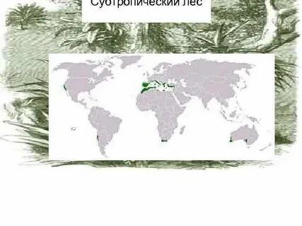 Субтропический на карте