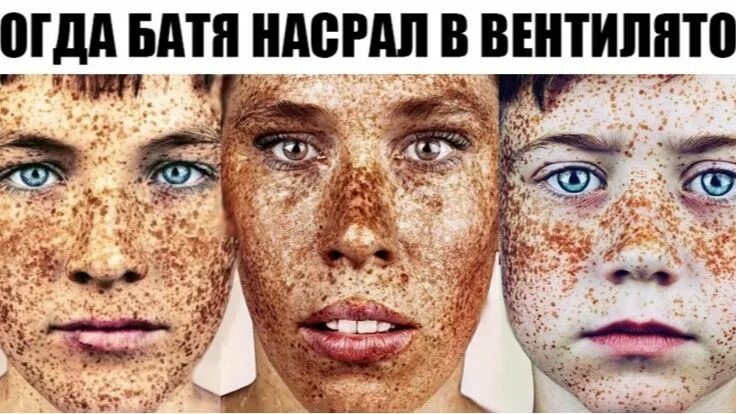 Когда батя настал в вентилятор мем фото Когда батя настал в вентилятор мем фото