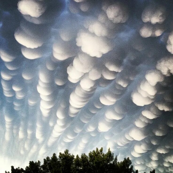 Тучи явление природы. Кучево дождевые вымеобразные. cumulonimbus mammatus. мамматусы вымеобразные облака. облака мамматус атмосферное явление.