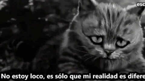 You my real being