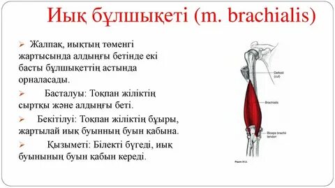 Жалаңаш Рената Литвинованың видеосы