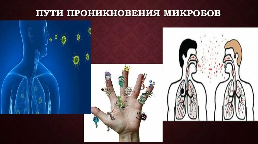 Попадание инфекции