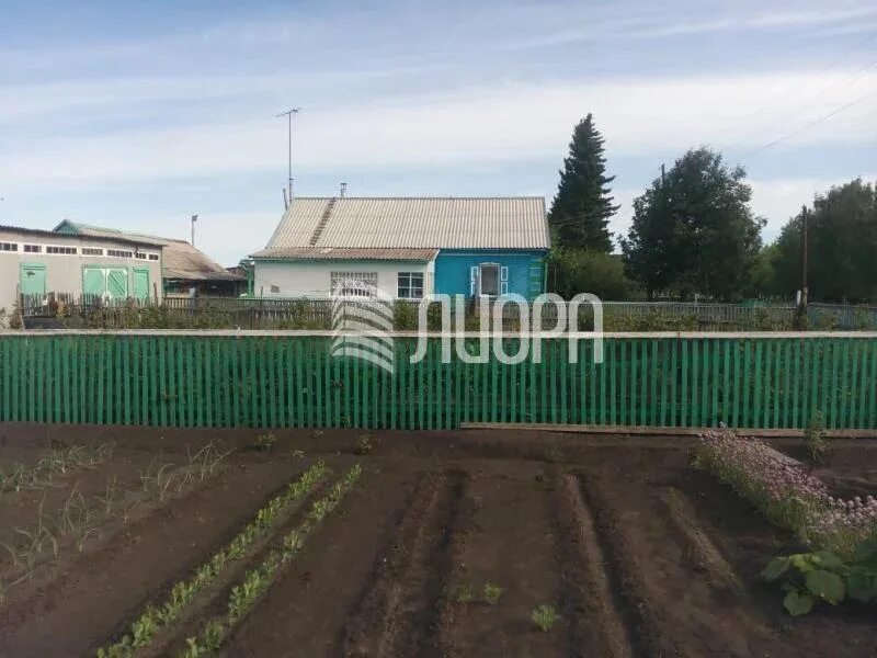Трасса исилькуль называевск. Солнцевка омская область. Погода солнцевка исилькульский омская область. Погода солнцевка исилькульский омская область. Аполлоновка исилькульский.