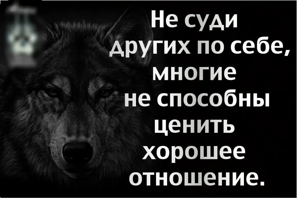 Хороший судить
