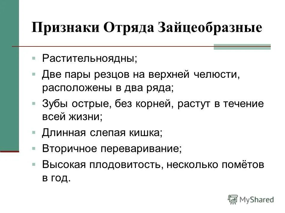 Признаки отряда грызуны. Общая характеристика отряда зайцеобразных. Отряд зайцеобразные общая признаки. Признаки отряда грызунов. Основные признаки отряда зайцеобразные.