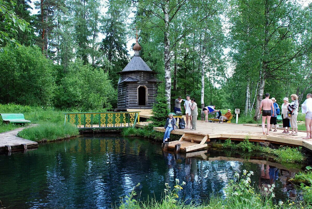 Родник тольятти. Мшенские Родники Тверская область. Мшенские источники Бологовский район. Мшенские источники Валдай. Мшенцы Святой источник Бологовский район.