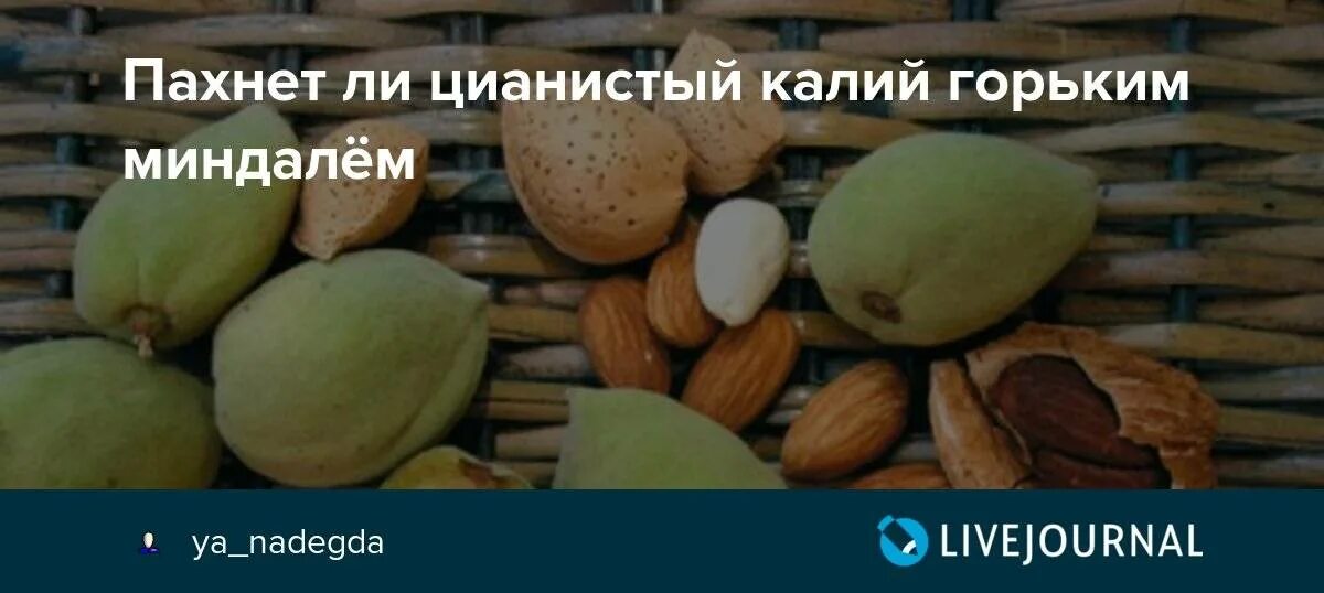 Запах горького миндаля какое. Синильная кислота в миндале. Цианид запах миндаля. Синильная кислота в орехах.