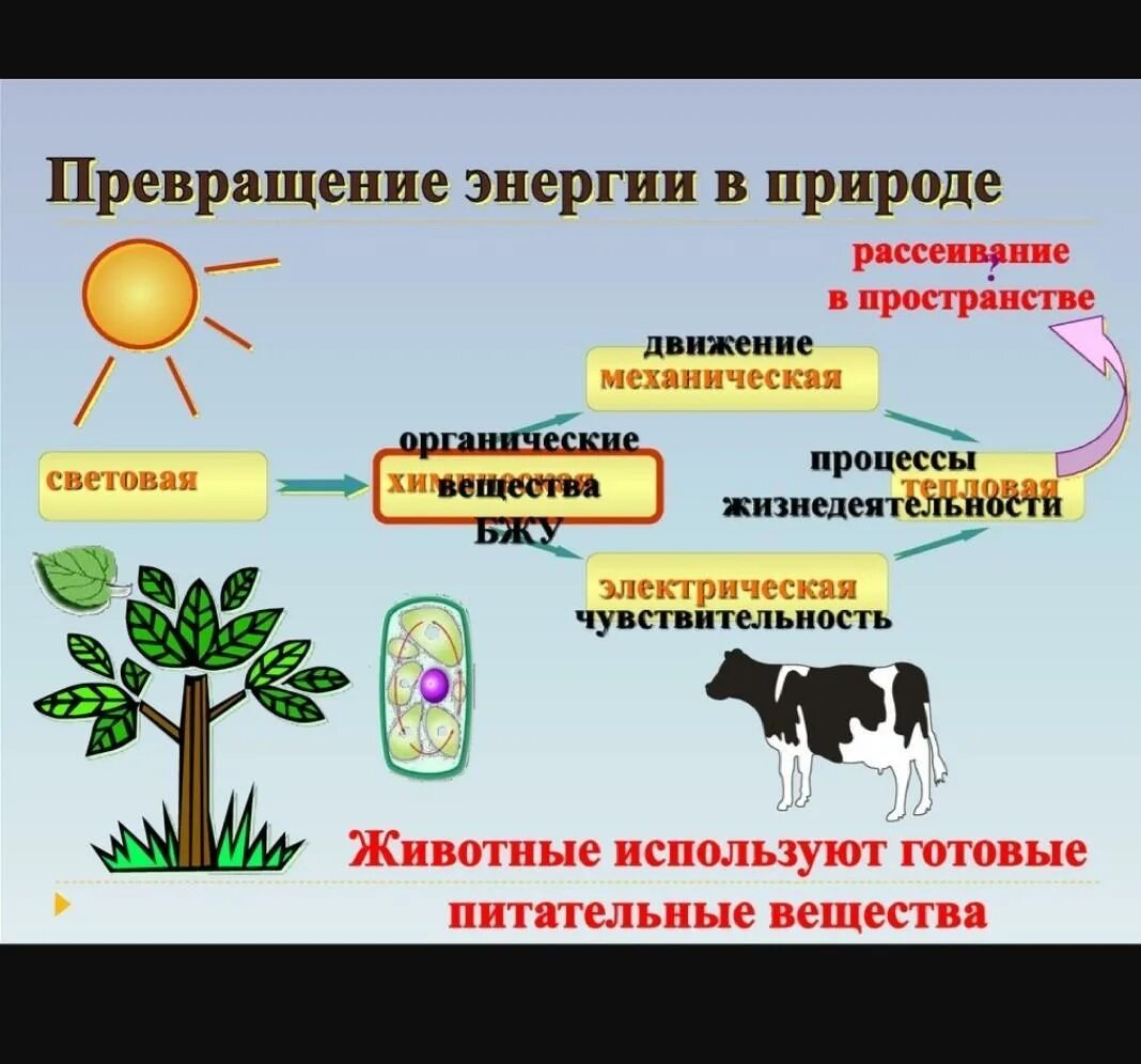 Виды превращения энергии. Превращение энергии в природе. Взаимопревращение энергии примеры. Преобразование энергии в природе.