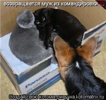 По возвращению из командировки