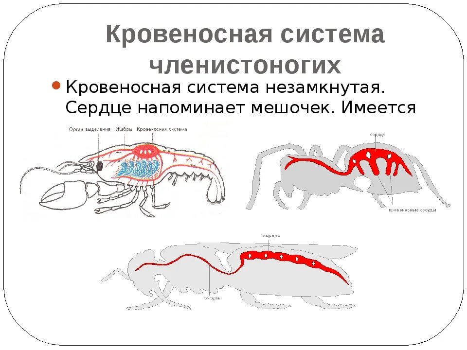 Описание пропало в параллельной вселенной.