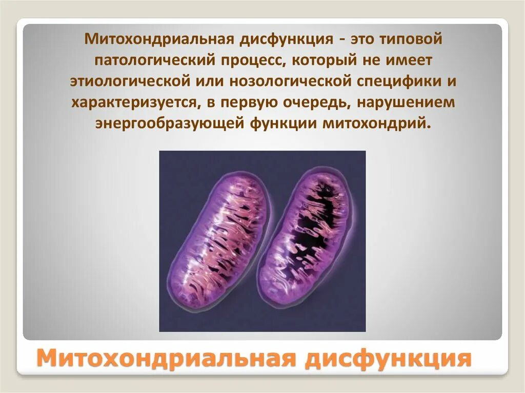 Патология митохондрий. Болезни связанные с нарушением ДНК митохондрий. Нарушение функции митохондрий. Дисфункция митохондрий. Что такое митохондрии простыми словами у человека