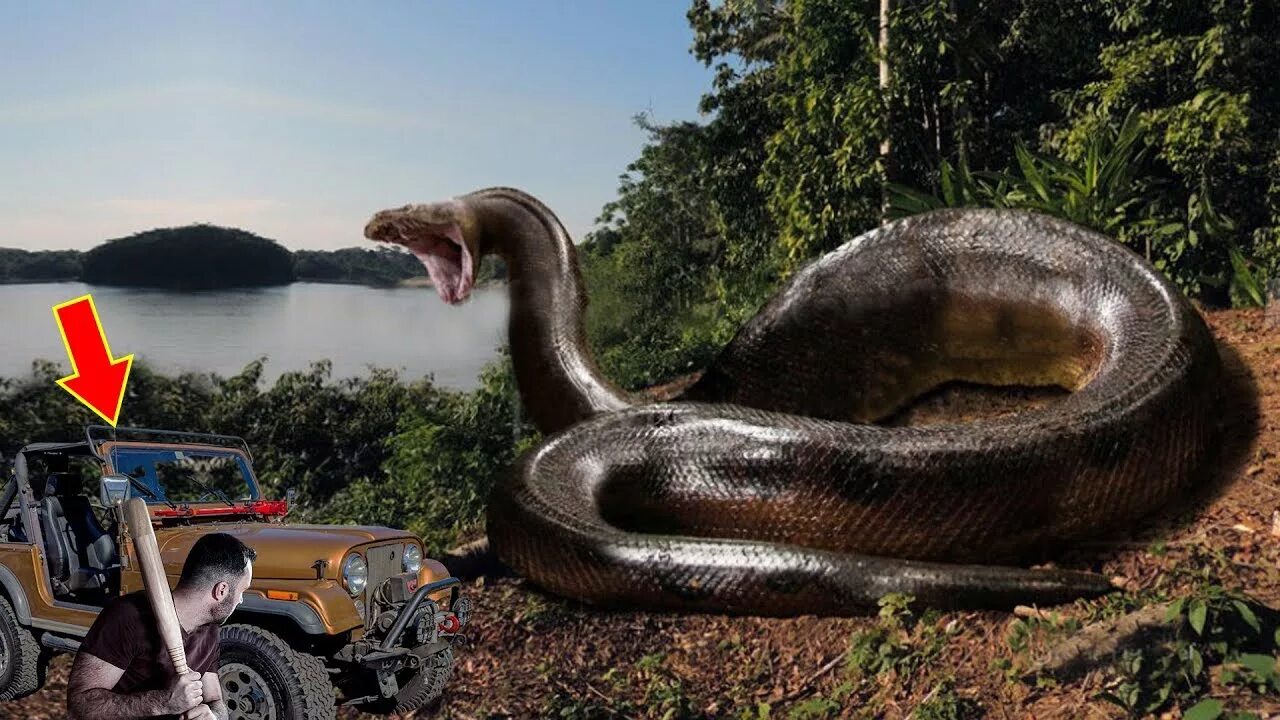 ТИТАНОБОА. ТИТАНОБОА змея. ТИТАНОБОА змея монстр. Самая большая змея в мире ТИТАНОБОА.