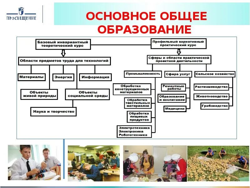 Основное образование классы. Основное общее образование это. Основное. Начальное общее образование что изучают. Работа с основным общем образованием.