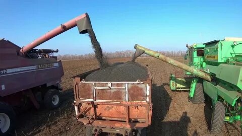 Сколько комбайн убирает за час