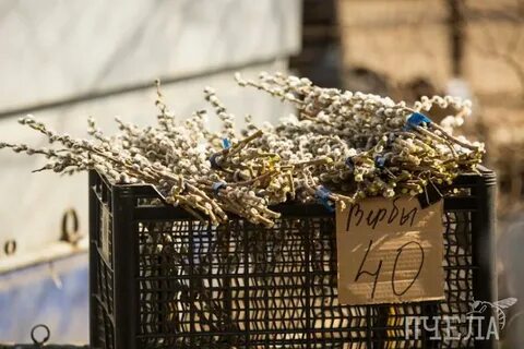 Проданные воскресенье