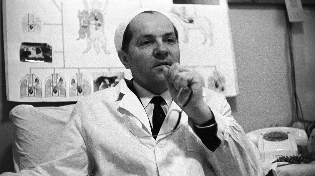 Демихов трансплантолог. Первые советские врачи