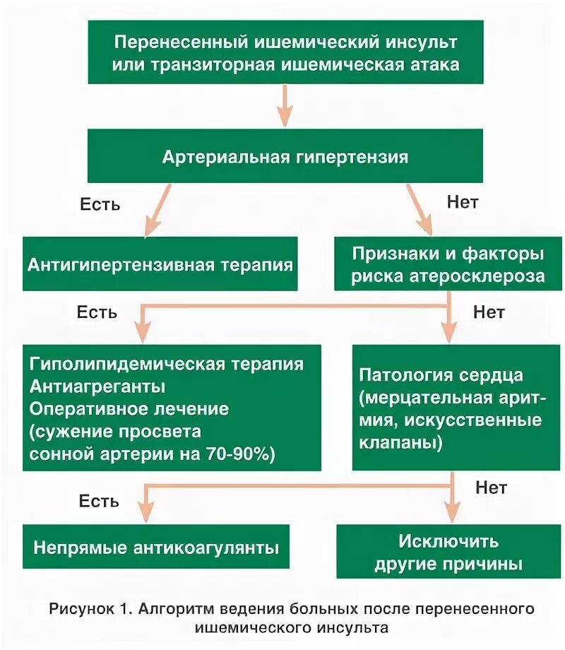 Инсульт восстановление после года. Ишемический инсульт периоды реабилитации. Реабилитация после ишемического инсульта. Ишемический инсульт этапы реабилитации. Схема терапии ишемического инсульта.