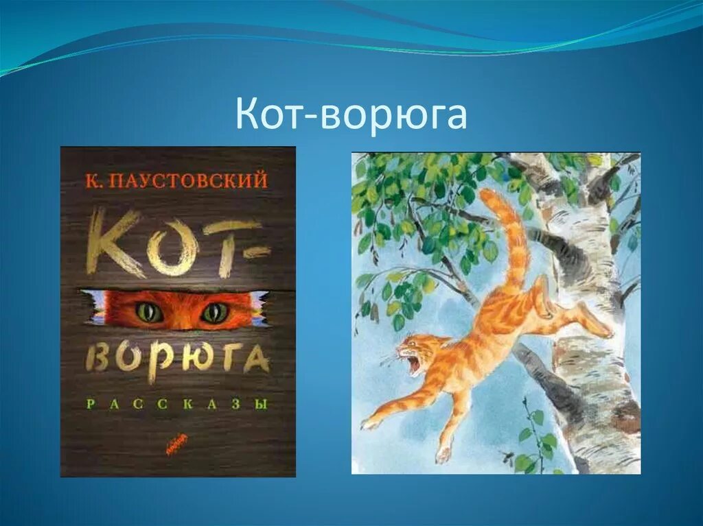 Кот ворюга паустовский читать краткое содержание. Книга кот ворюга паустовский. 3 класс паустовского к.г. «кот-ворюга»:. к паустовский кот ворюга обложка.