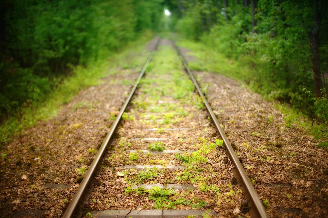 Railway line. Рельсы фото. Железнодорожные линии. Текстура рельс. Зеленые рельсы.