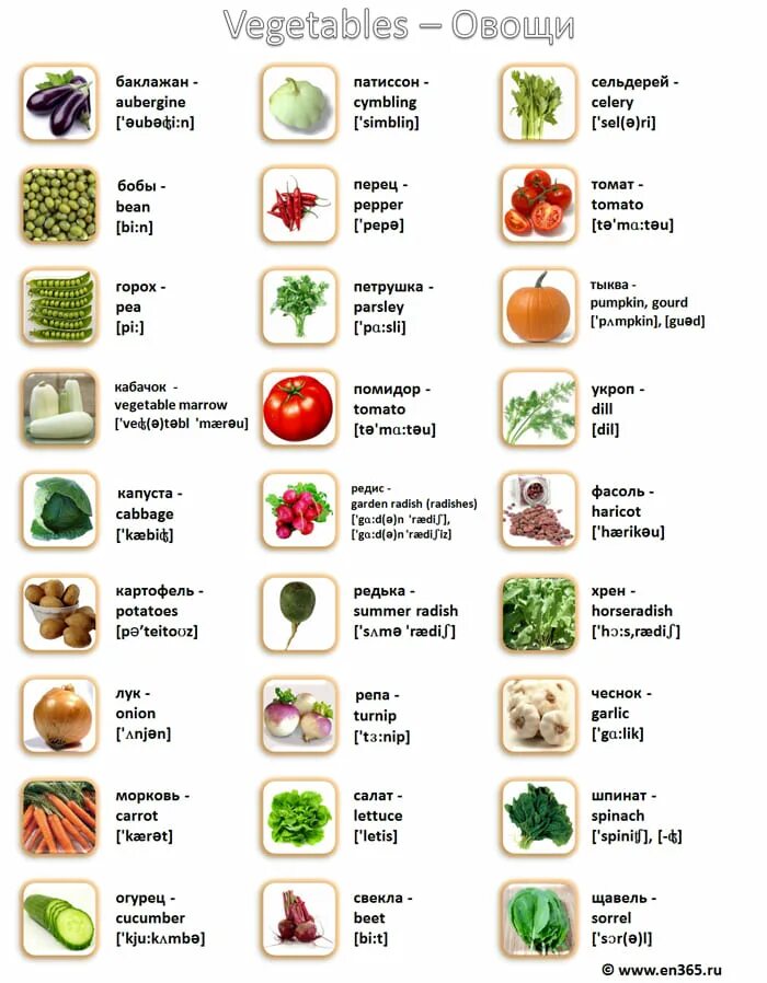 Овощи на английском для детей в картинках с транскрипцией и переводом. Овощи на английском с переводом на русский. Список фруктов на английском языке с переводом. Фрукты и овощи на английском для детей с русской транскрипцией. Как переводится на английский ест