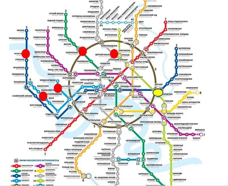 Автостанция новоясеневская как добраться на метро. Автостанция новоясеневская как добраться на метро
