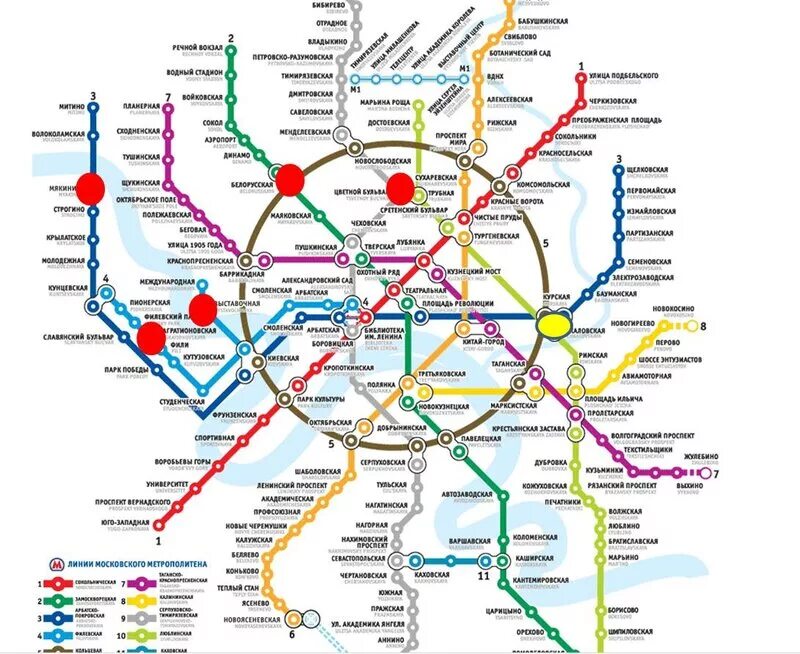 Москва автостанция новоясеневская на карте